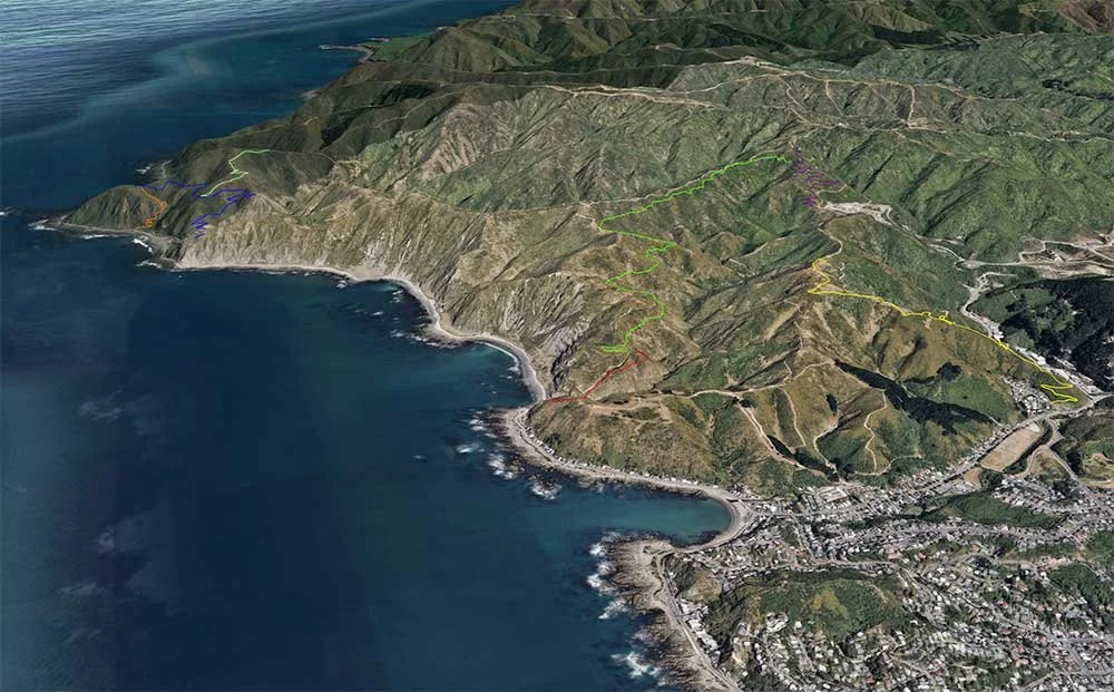 Te Kopahou Reserve Track Network