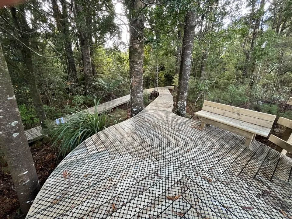 Sapphire Springs – Track Upgrade and Kauri Dieback Mitigation