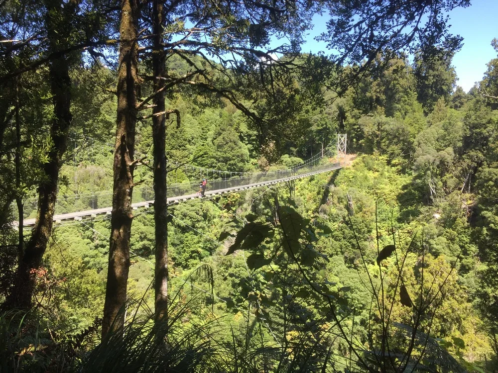 The Timber Trail - Pureora - Onegarue