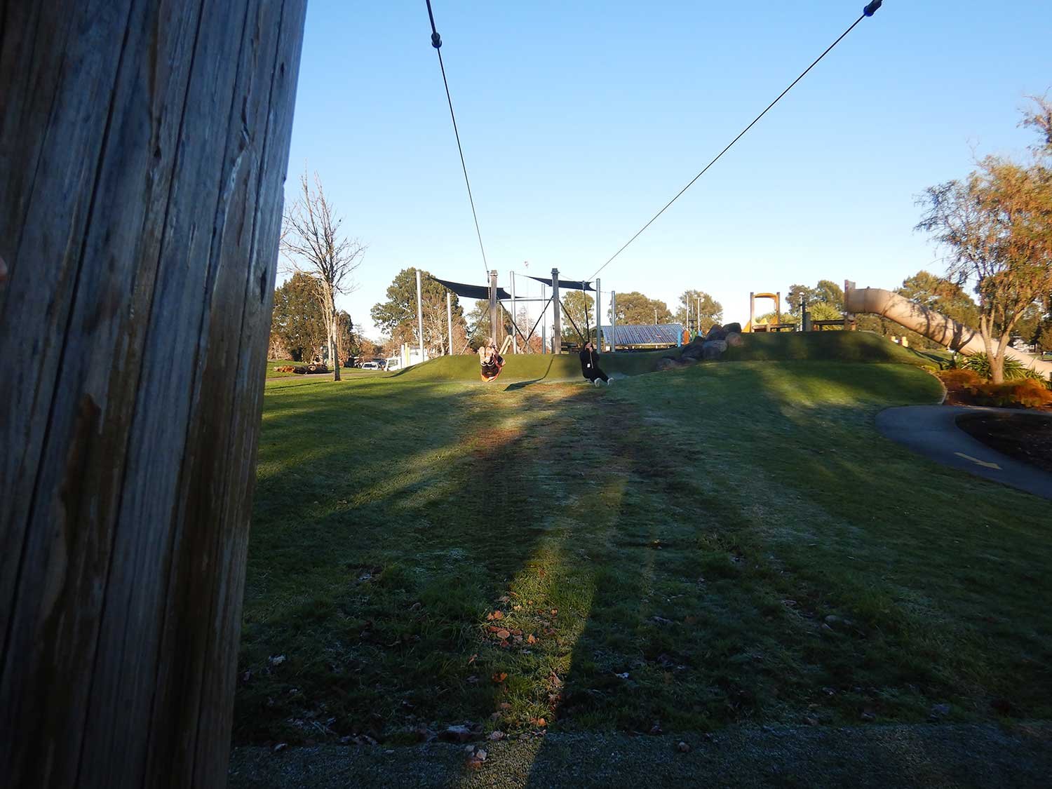 Minogue Park – Flying Fox Foundation