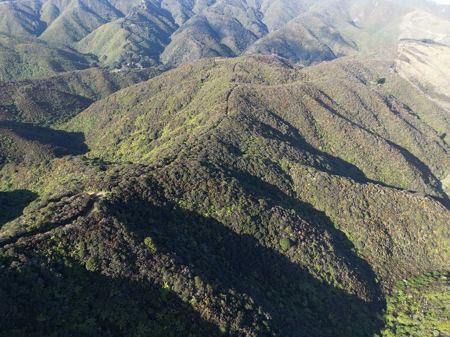 Makara Peak Mountain Bike Trail 