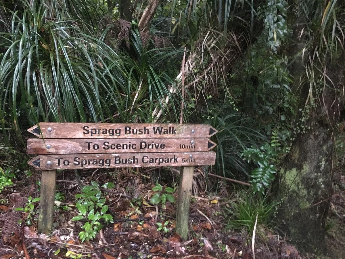 Spragg Bush Bridges