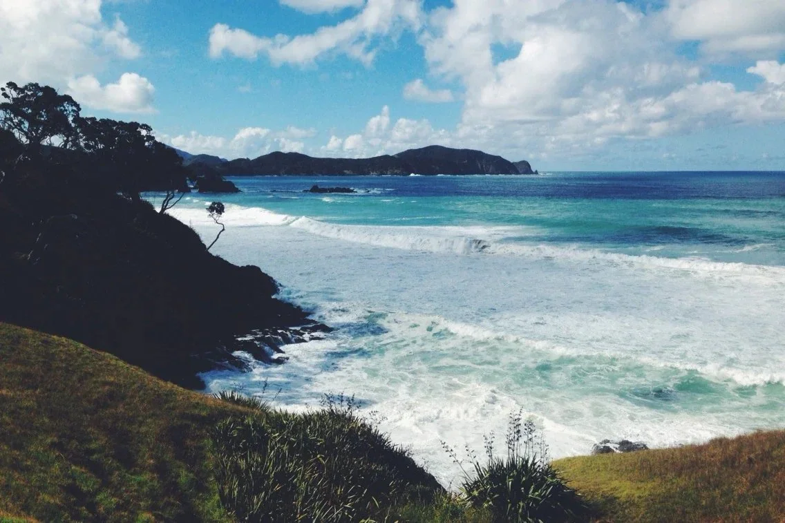 Rawhiti Beach Access Track