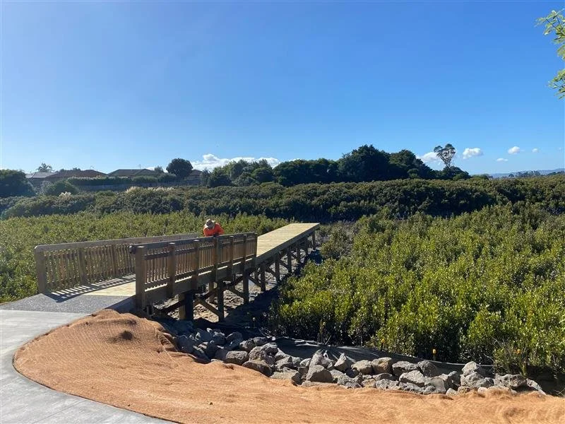 Kaimoana Reserve Jetty 
