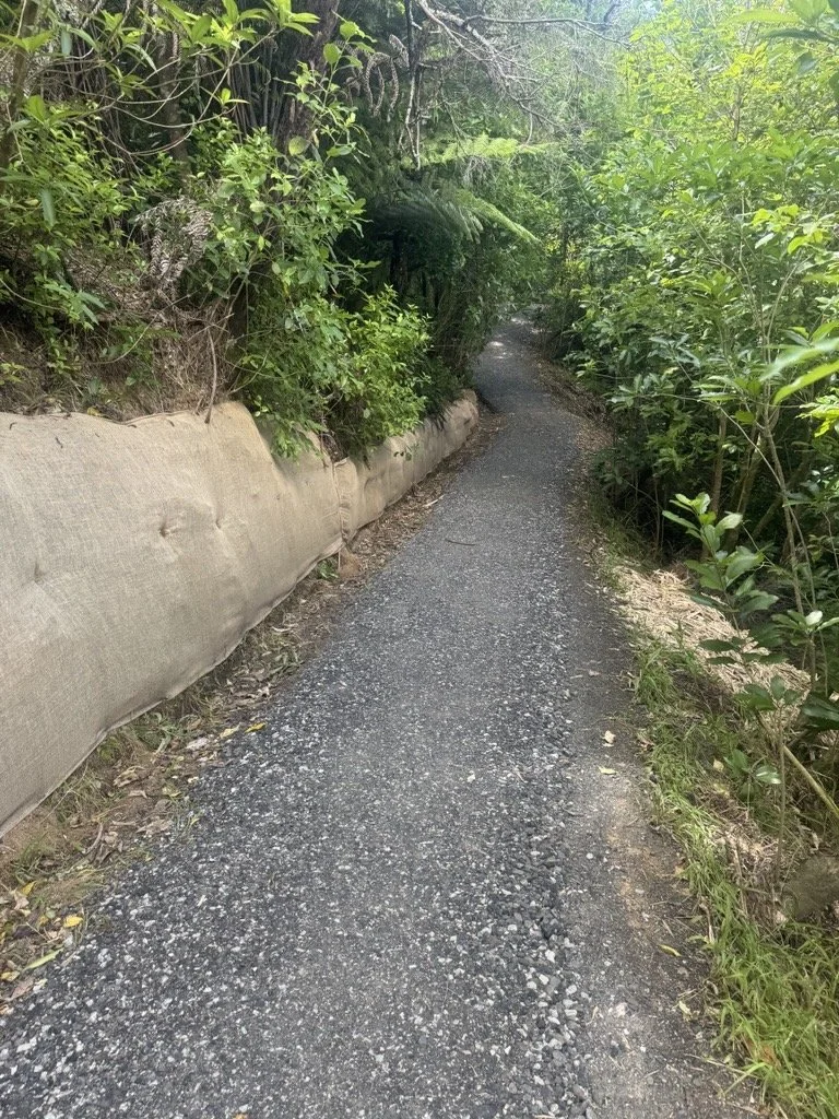 Francis Kendall Reserve Track Slip Mitigation 