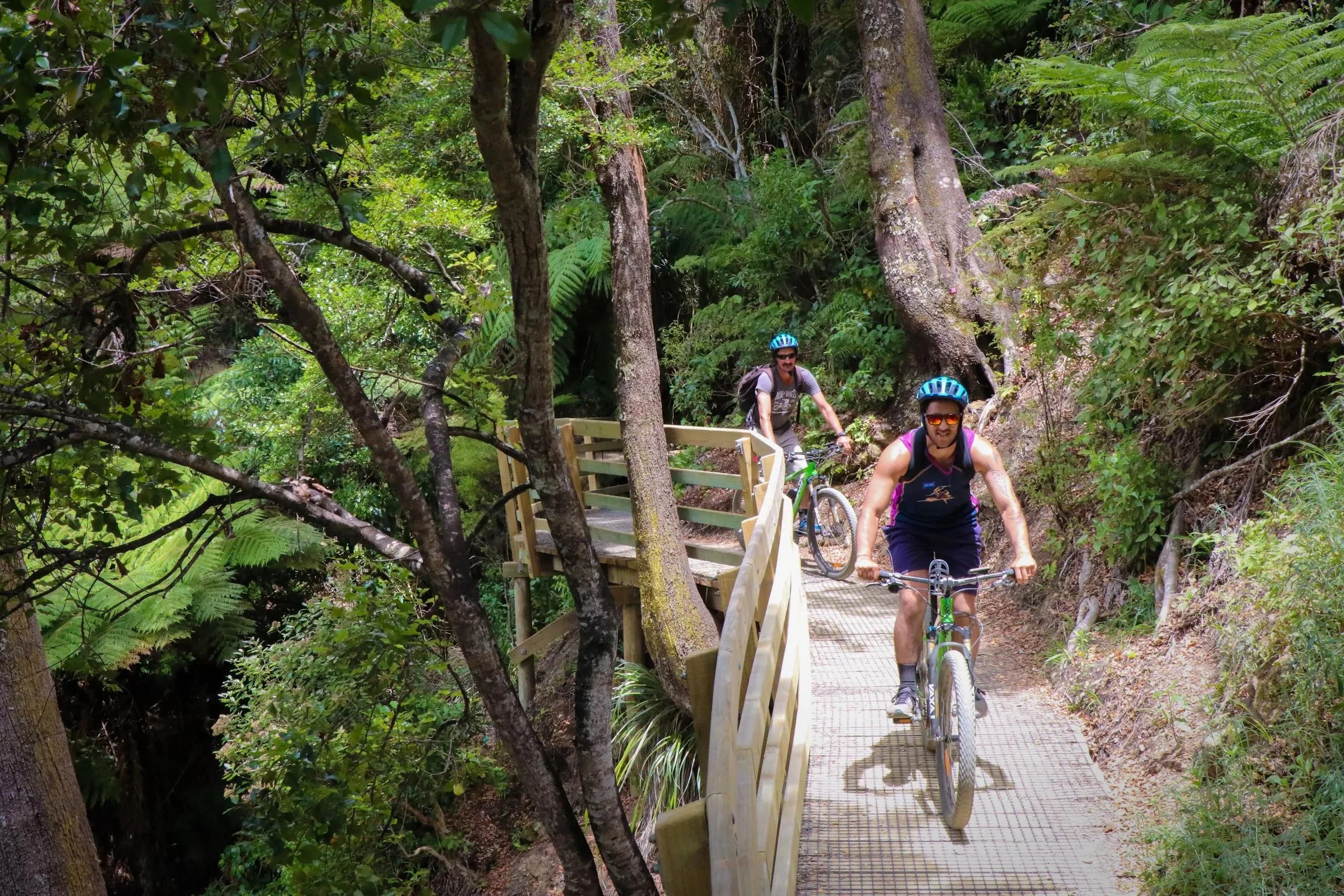 Te Whiti Riser Track