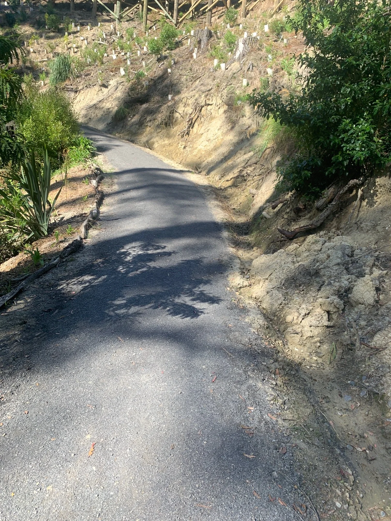 Havelock Hills Reserves Track and Structures Upgrade