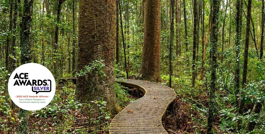 Kauri Dieback Track Mitigation Programme 