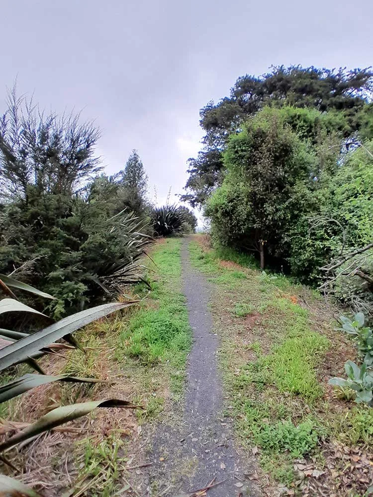 South Drury Pathways 