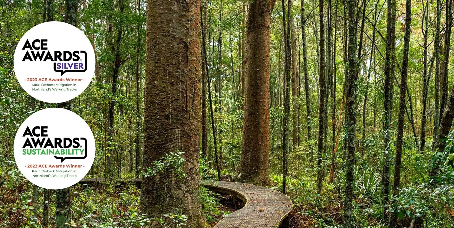 Kauri Dieback Track Mitigation Programme 