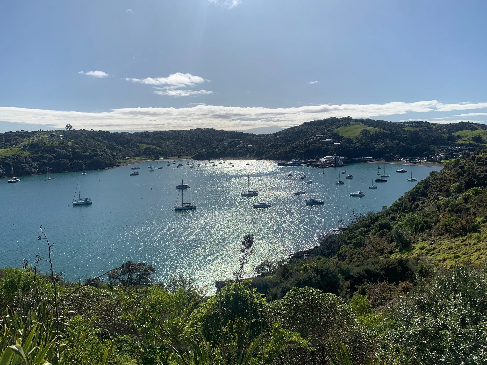 Waiheke Island Track Renewal Programme