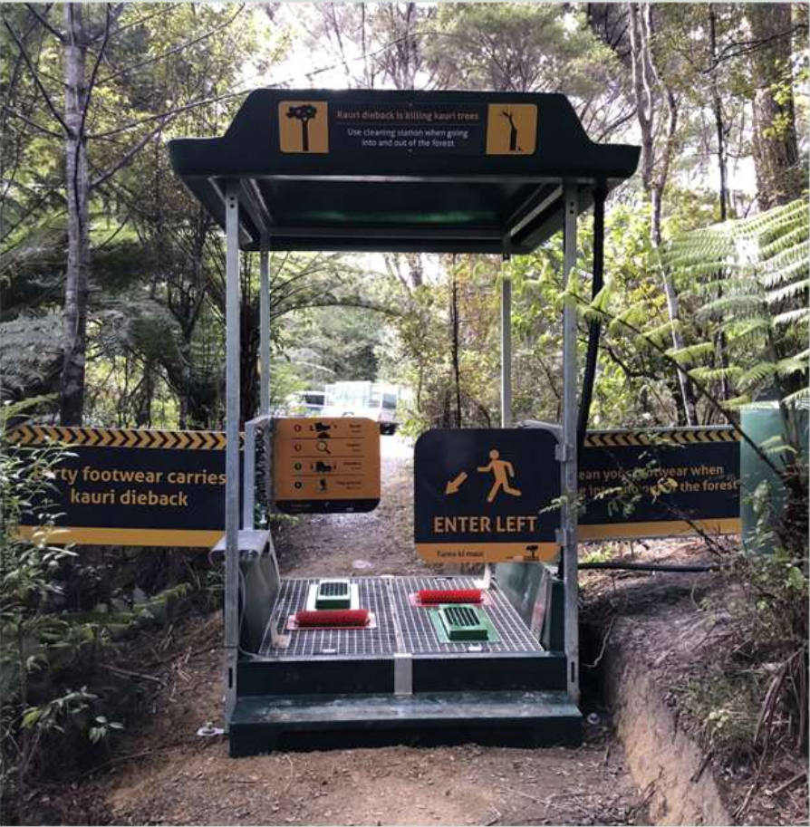 Kauri Track Construction and Maintenance Training Programme