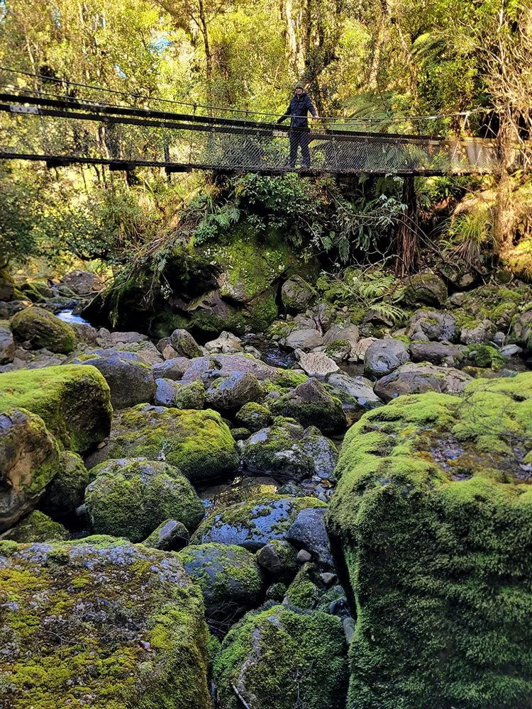 Lake Waikaremoana Great Walk - Access Structures and Huts Assessment 