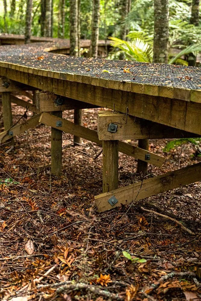 Kauri Dieback Construction and Maintenance Guidelines