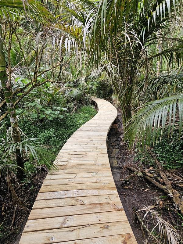 Auckland Domain Track Network Upgrade