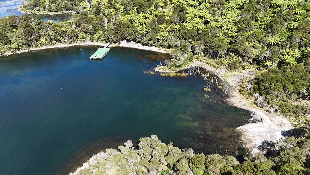 Partnerships on projects NZ