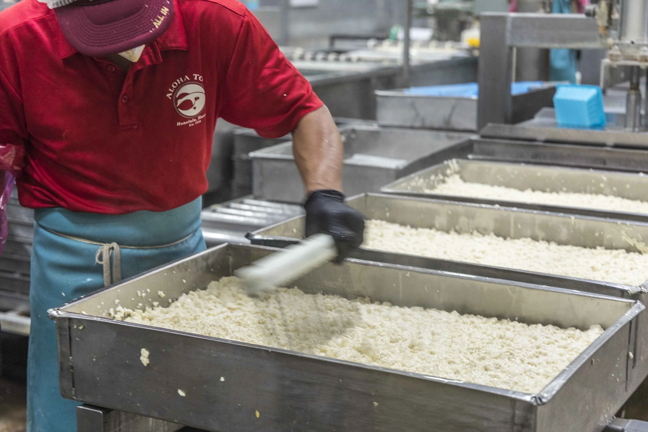 Career — Aloha Tofu Factory