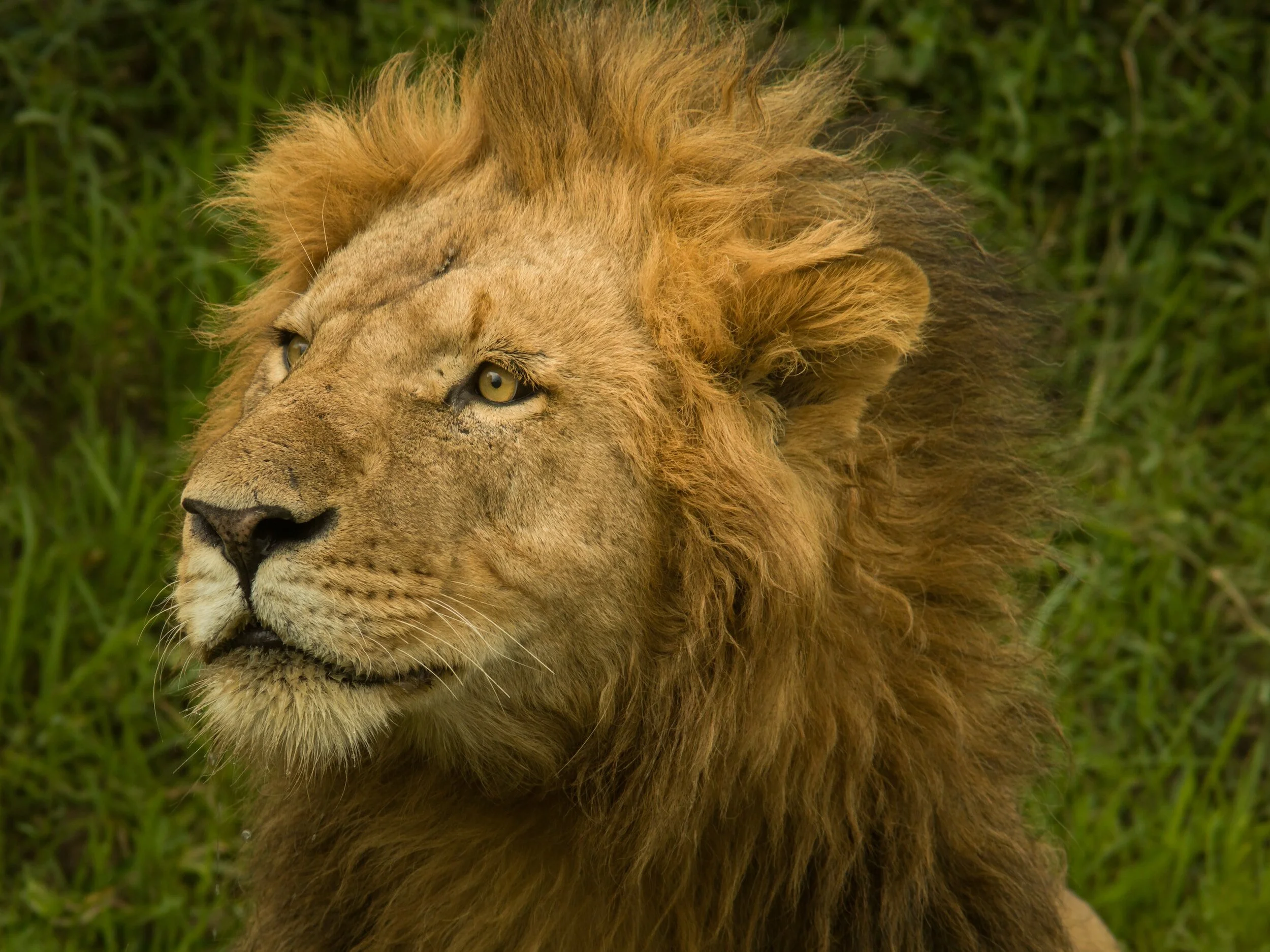 Trauma Symptoms: How to handle anger with courage when it feels dangerous.