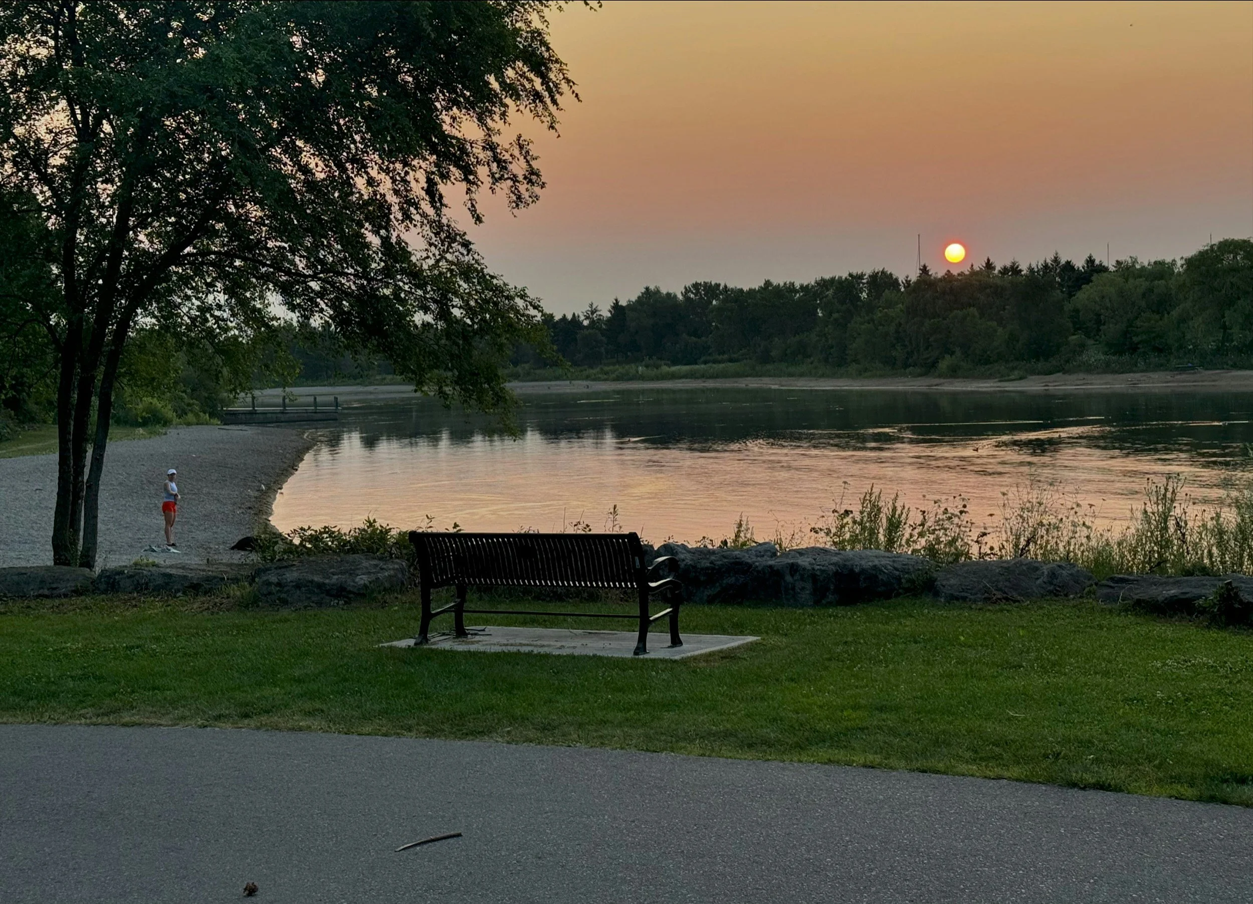 The Daily Habits Your Life Coach Recommends for Steady Growth and Healing</span>