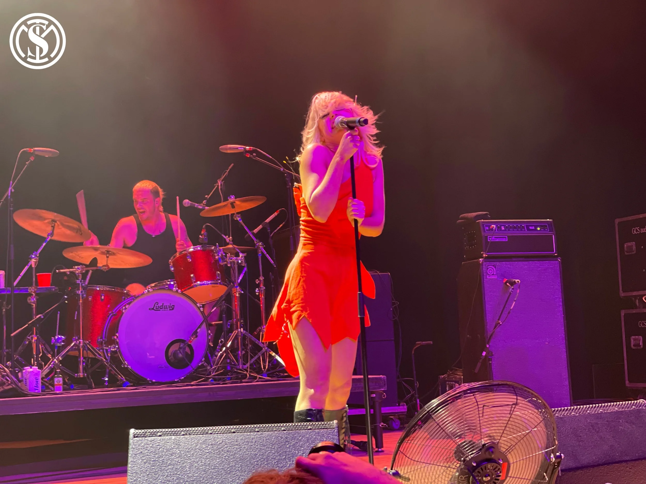 Amyl & The Sniffers