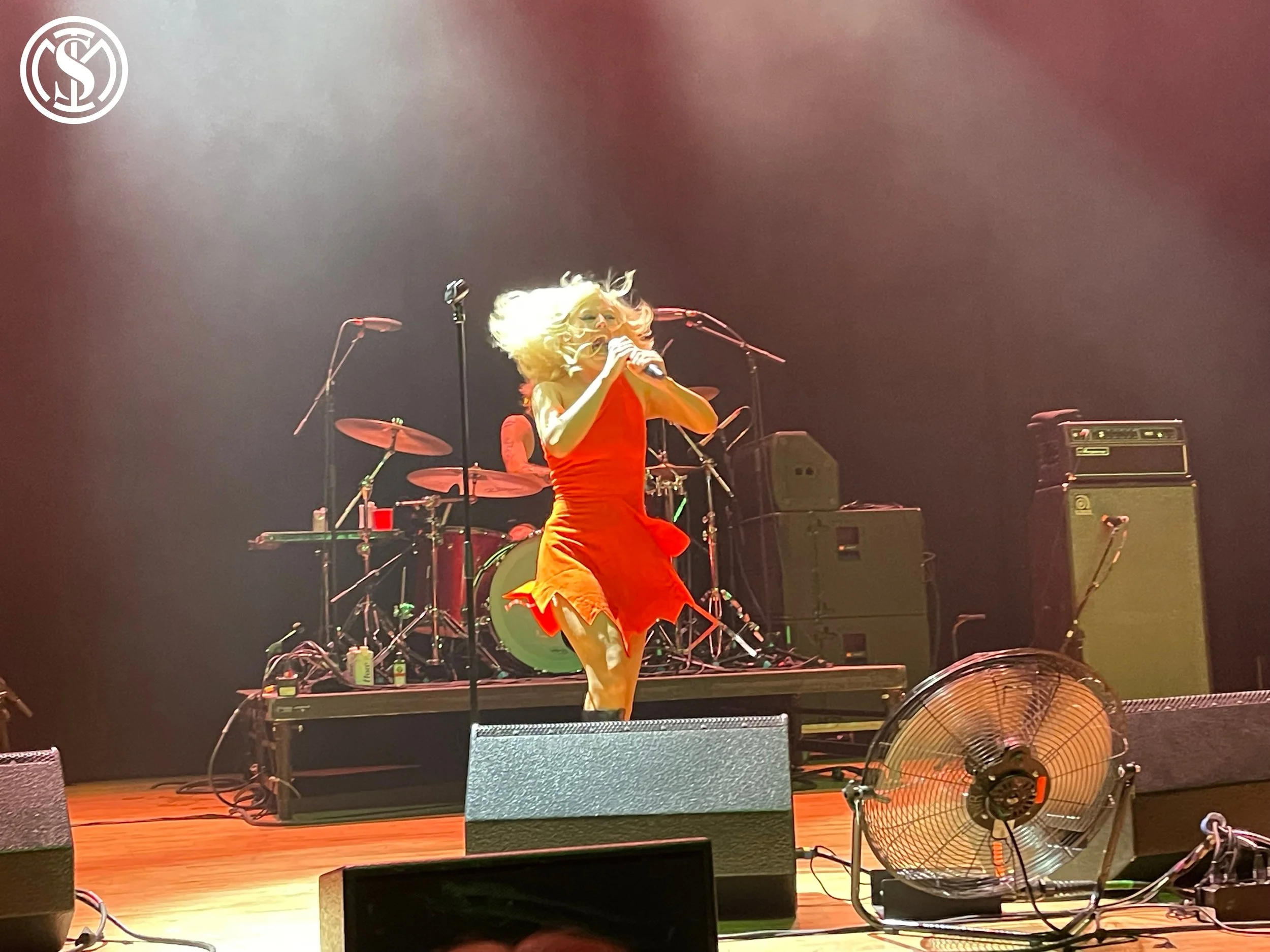Amyl & The Sniffers