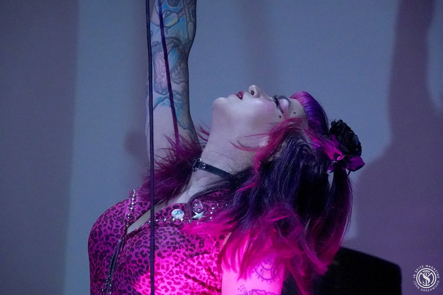 The Hellflowers — All Photo Credit John Greenwood