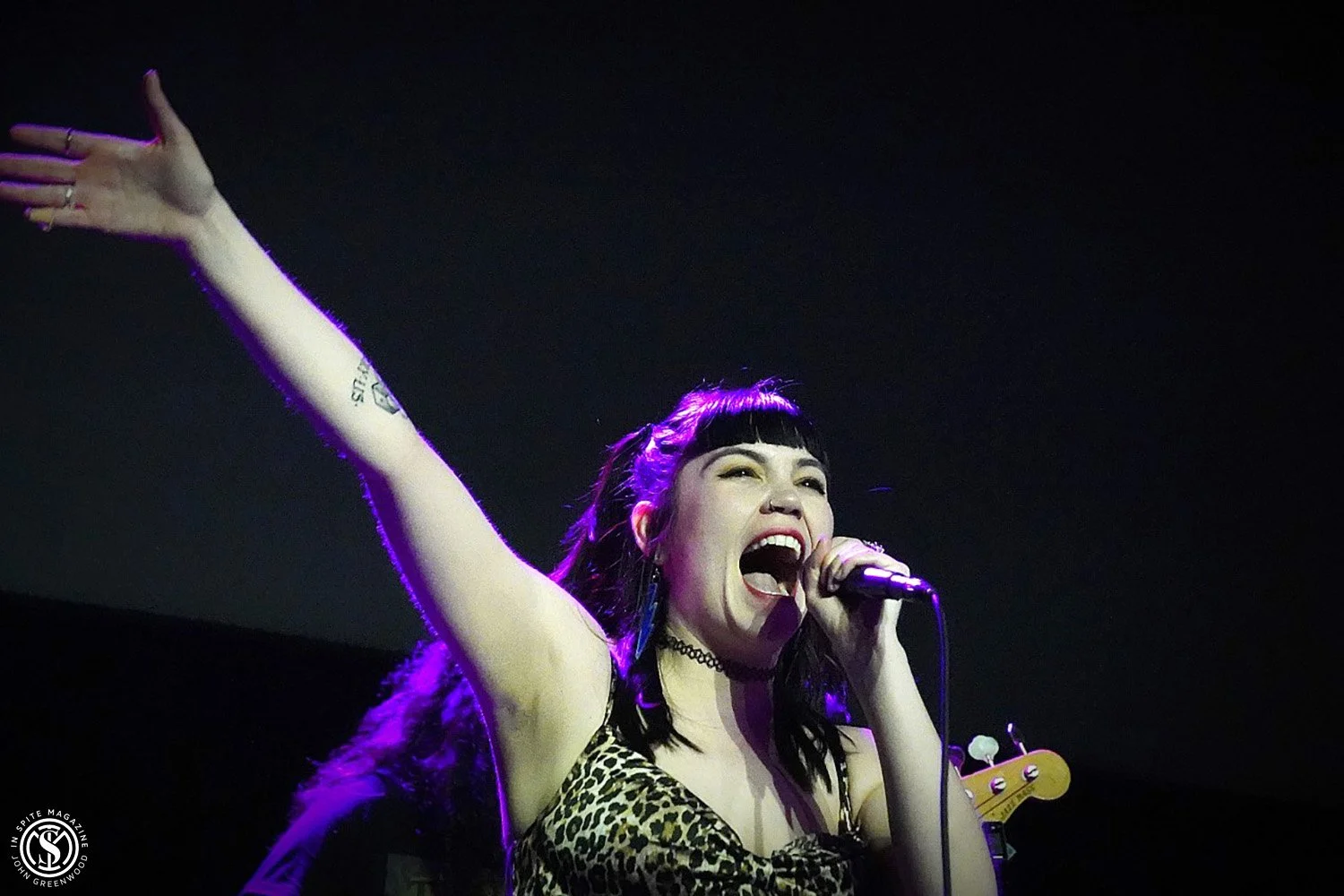 Bite Me Bambi—all photos by John Greenwood