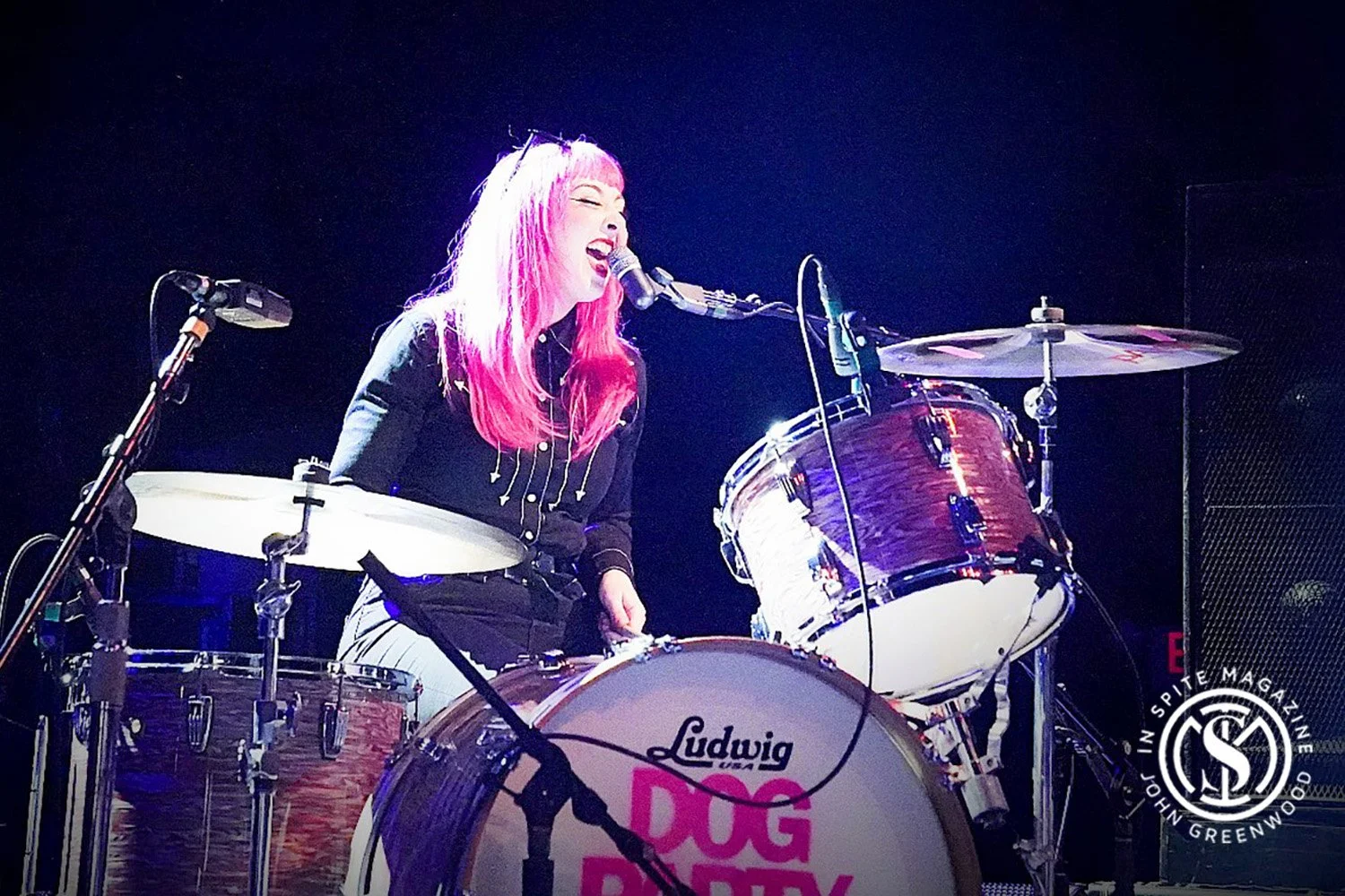 Dog Party @ The Filmore—Photos by John Greenwood 