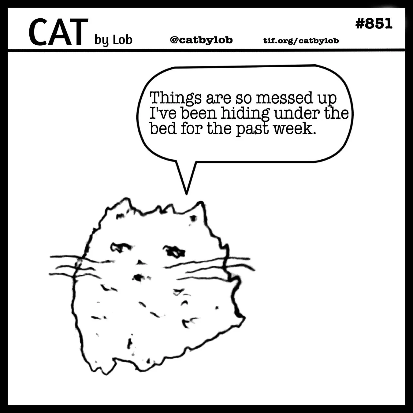 Cat by Lob 