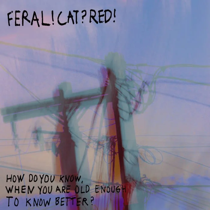 THE STRANGE CASE OF FERAL!CAT?RED!