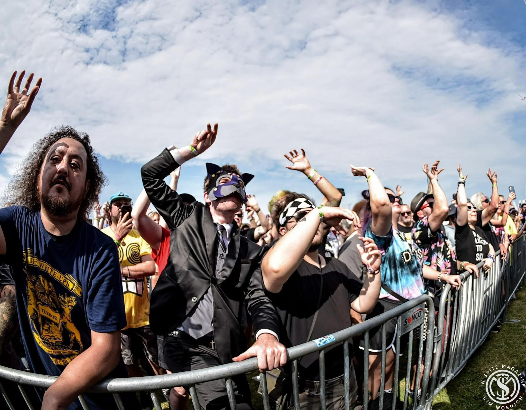 catbite crowd.jpg