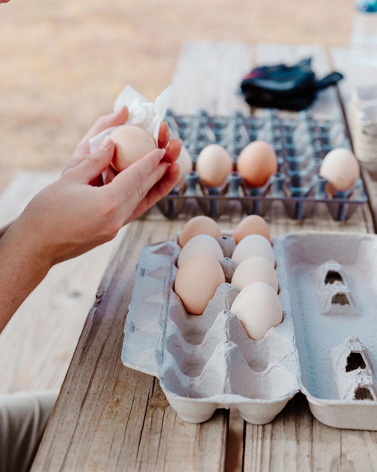 Egg-cellent Production! 🥚🐓
Our flock of 340 chickens at McKinney Roots produces over 8,000 dozen eggs every year&mdash;fresh, local, and sustainable.

Get involved by following the link in our profile!
