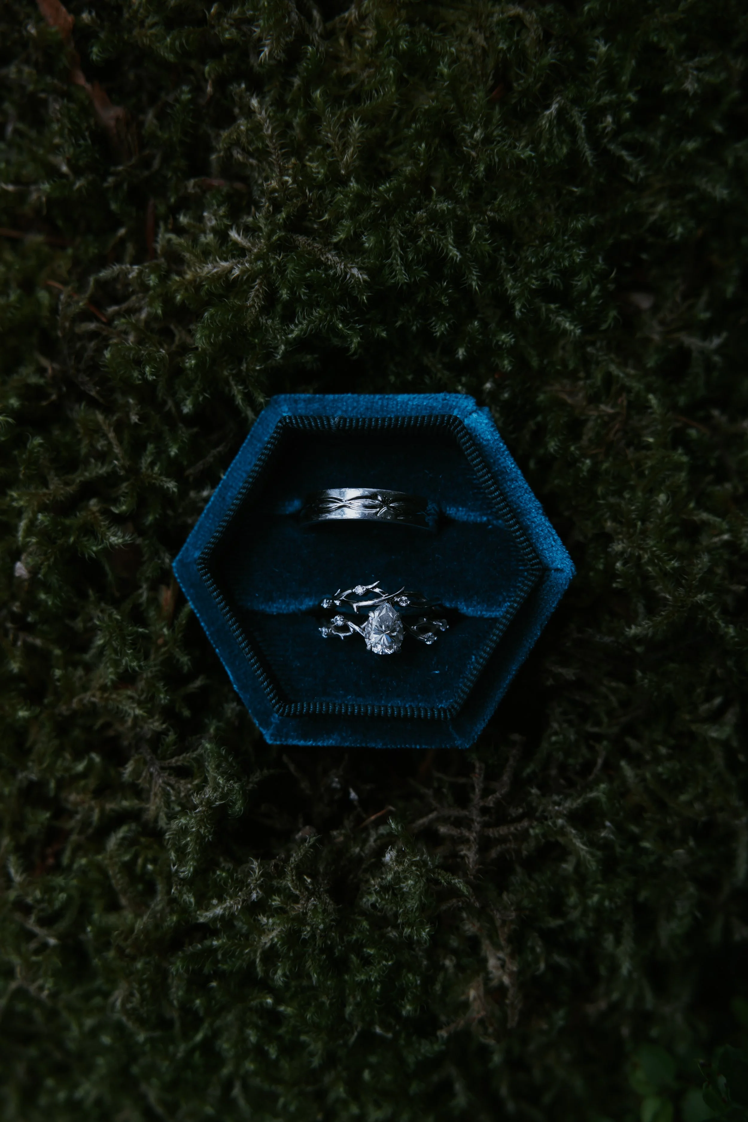 7G7A2043.jpg