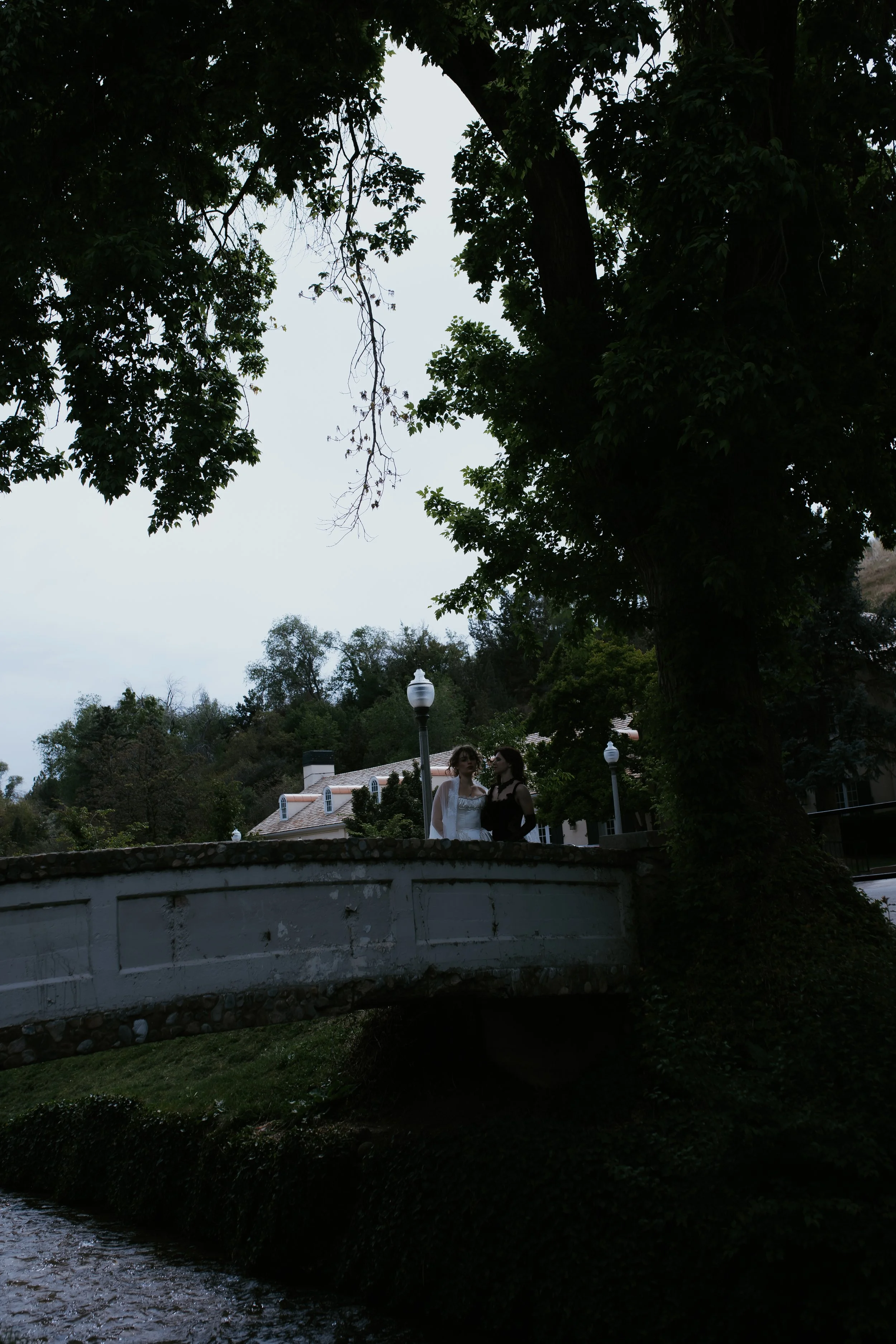7G7A6272.jpg