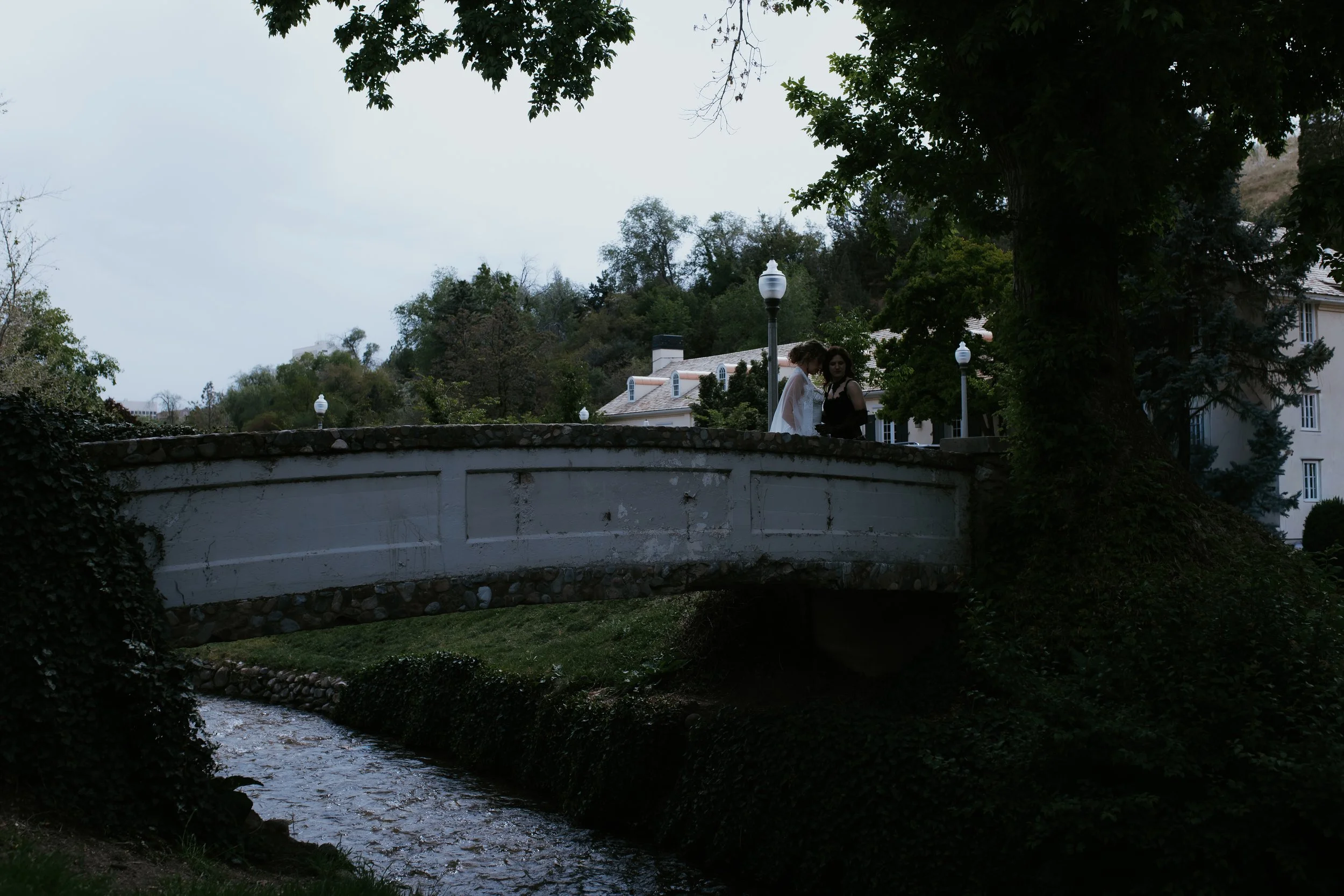 7G7A6286.jpg