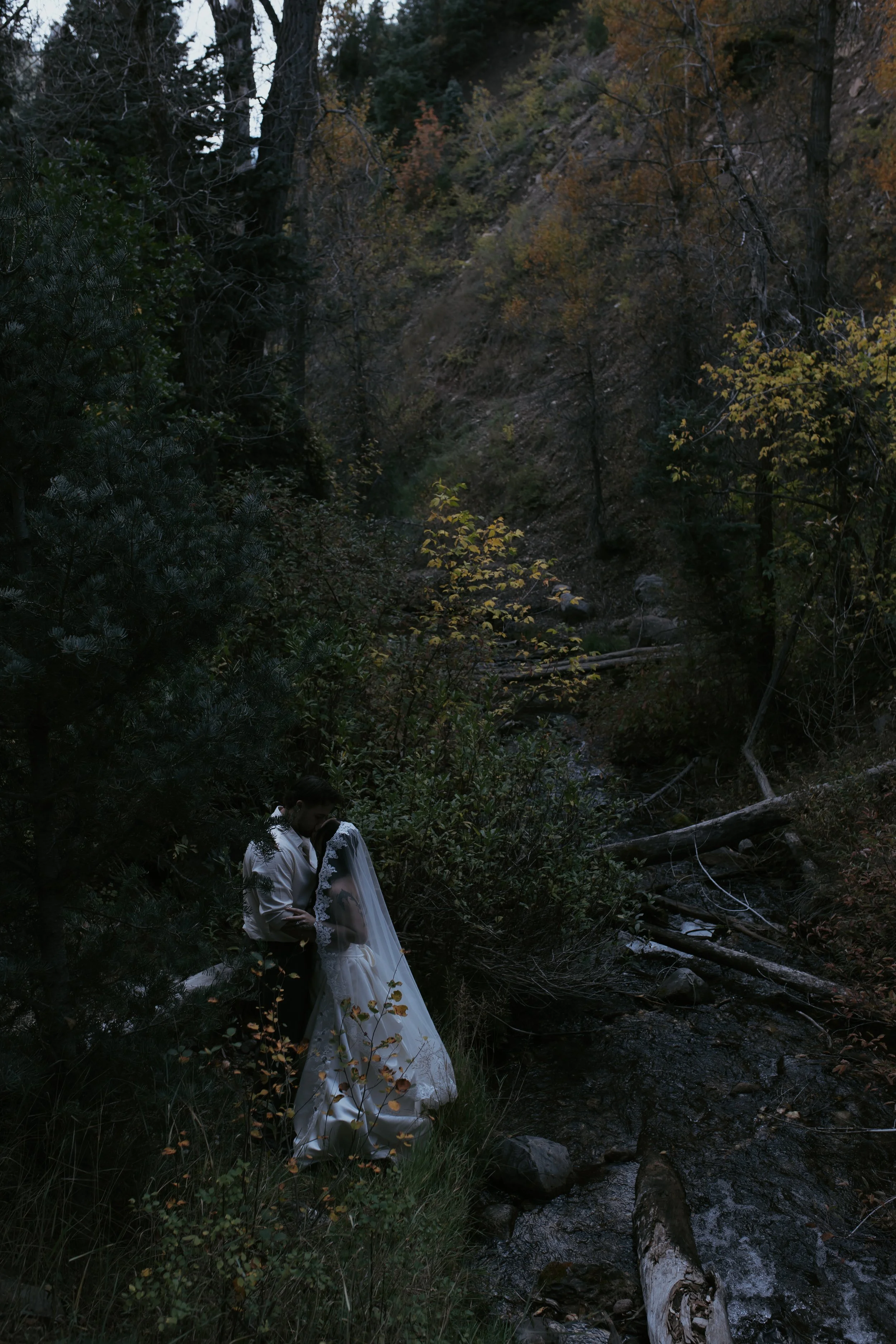 7G7A1458.jpg