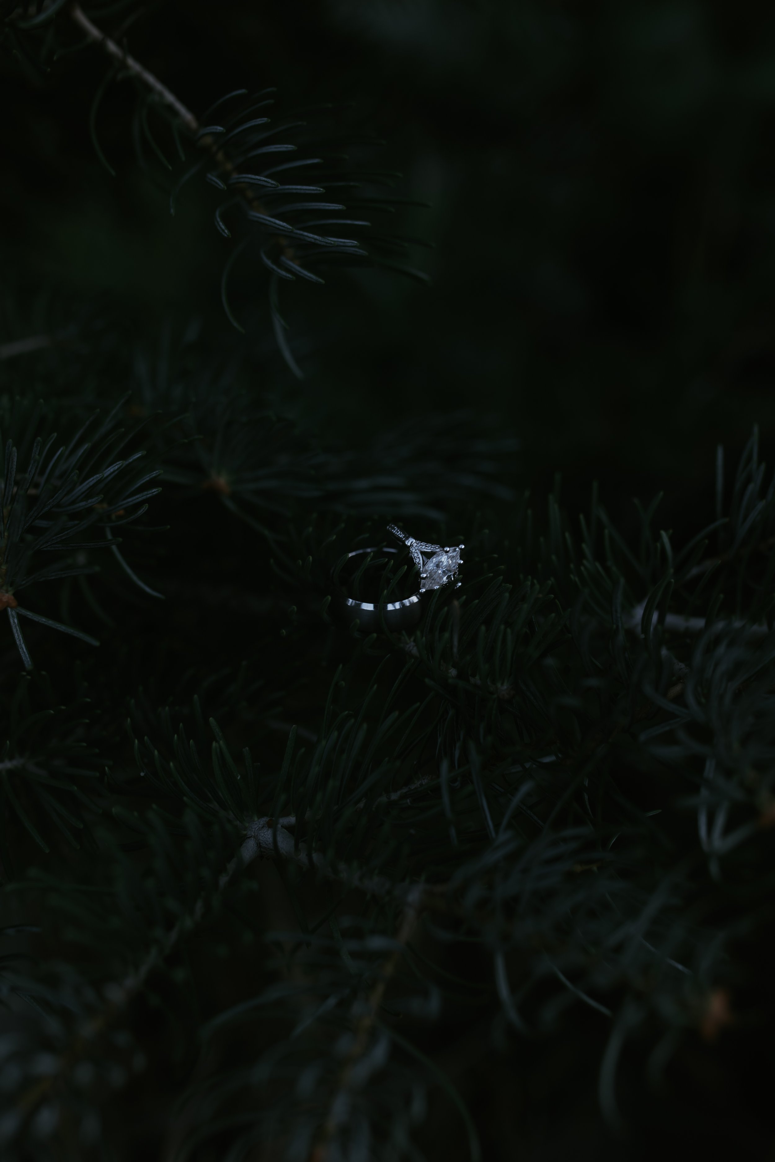 7G7A2485.jpg