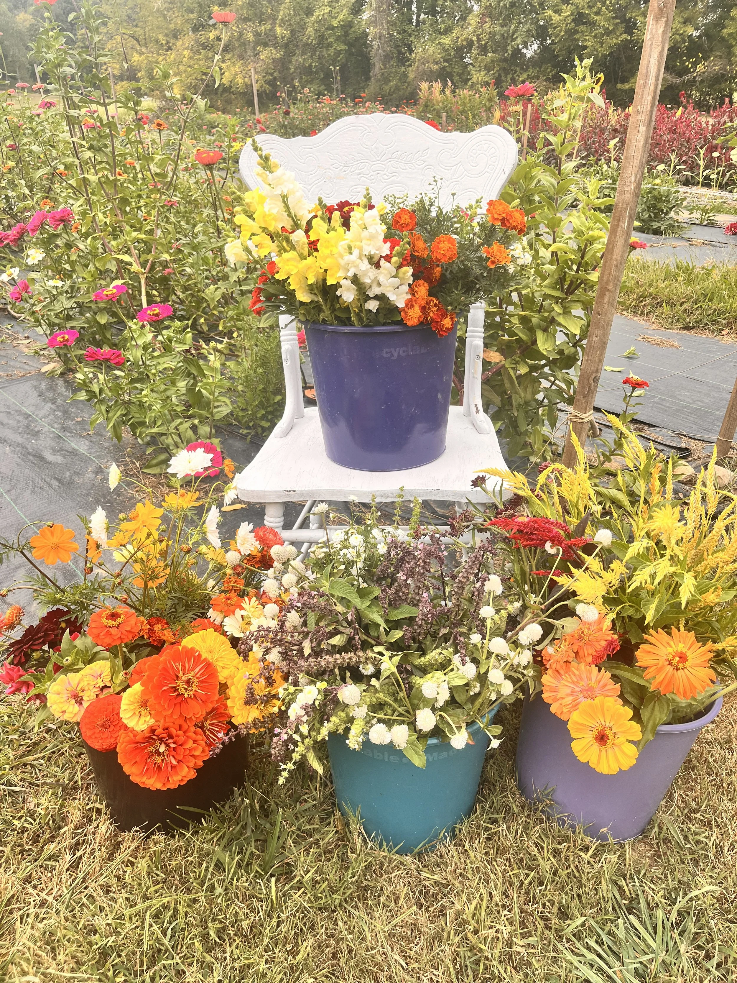 a chair in a flower field, surrounded by event floral buckets for a DIY bride to create her own wedding arrangements