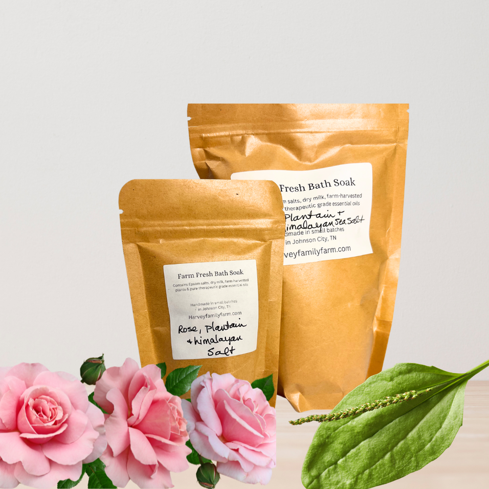 rose plantain leaf bath soak handmade — Harvey Family Farm
