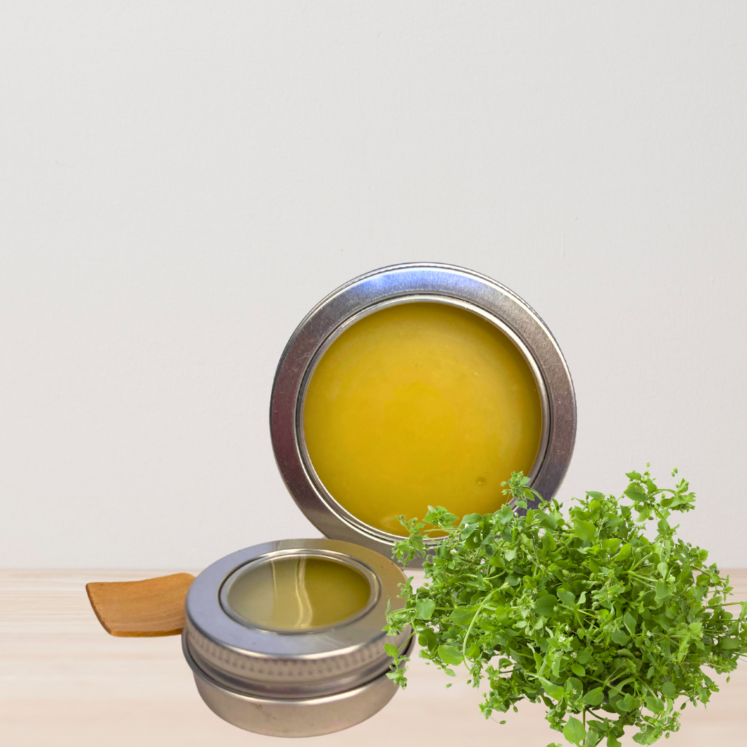chickweed salve image 2