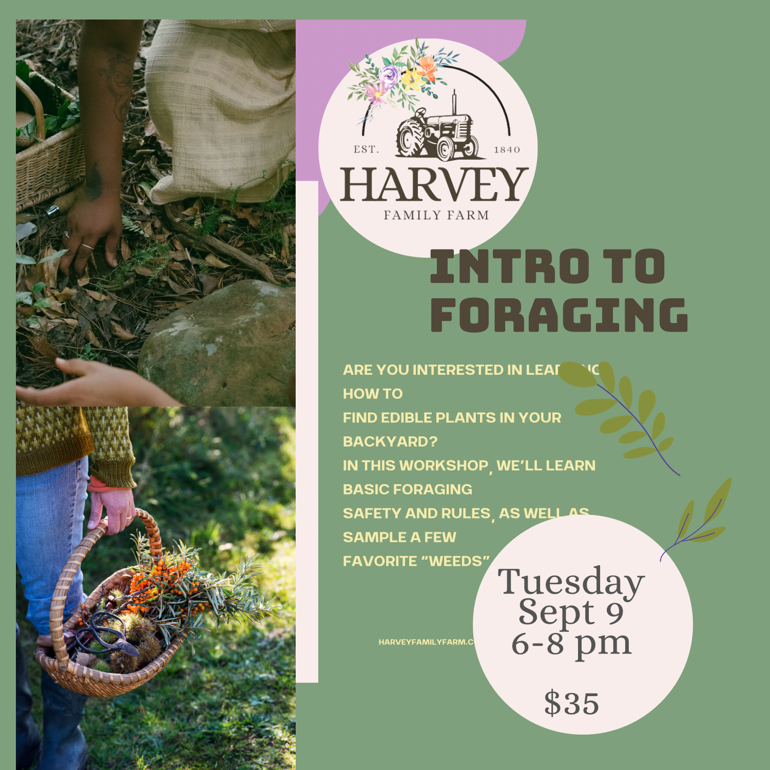 Foraging 101