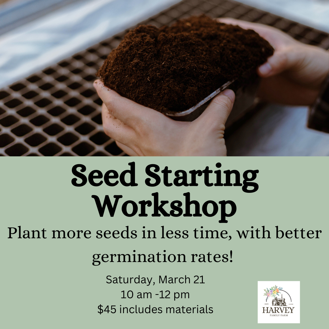 Gardening Workshop:  Seed Starting with Soil Blocking