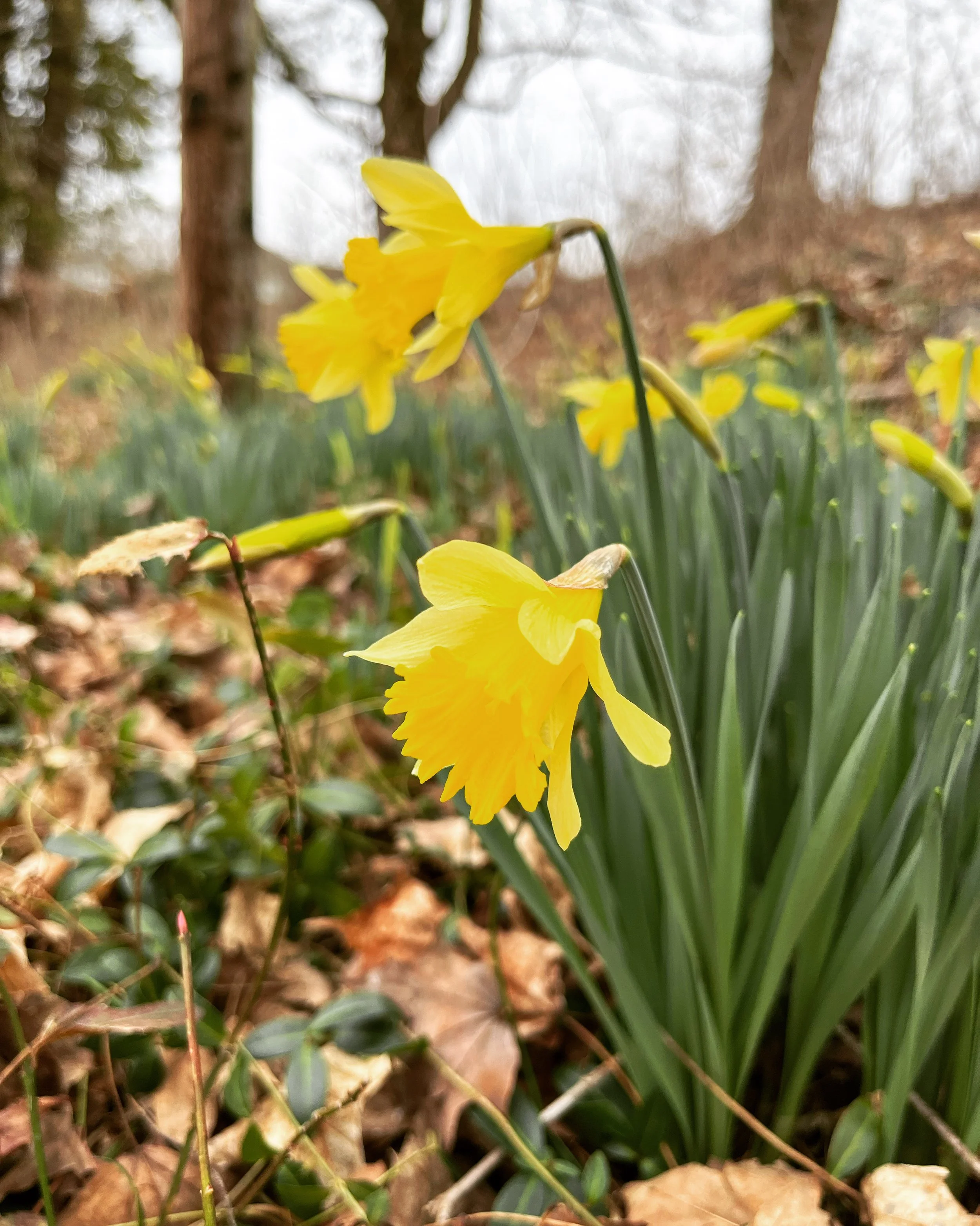 00B4DB42-C7BD-4FAA-9B7B-98AE39C0FE67 2.JPG