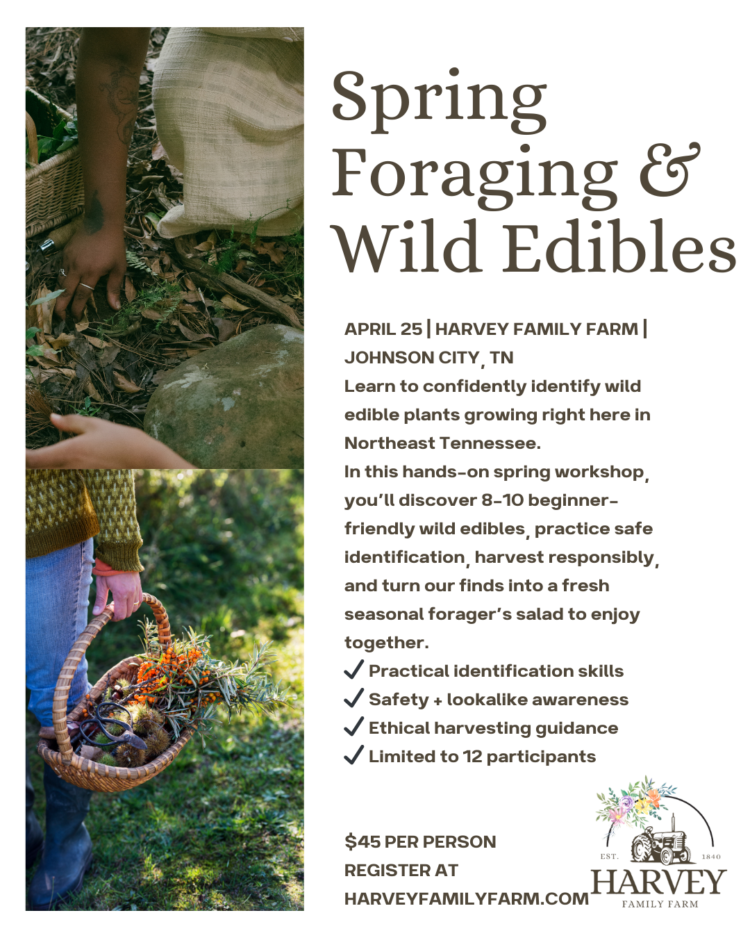 Spring Foraging & Wild Edibles Workshop