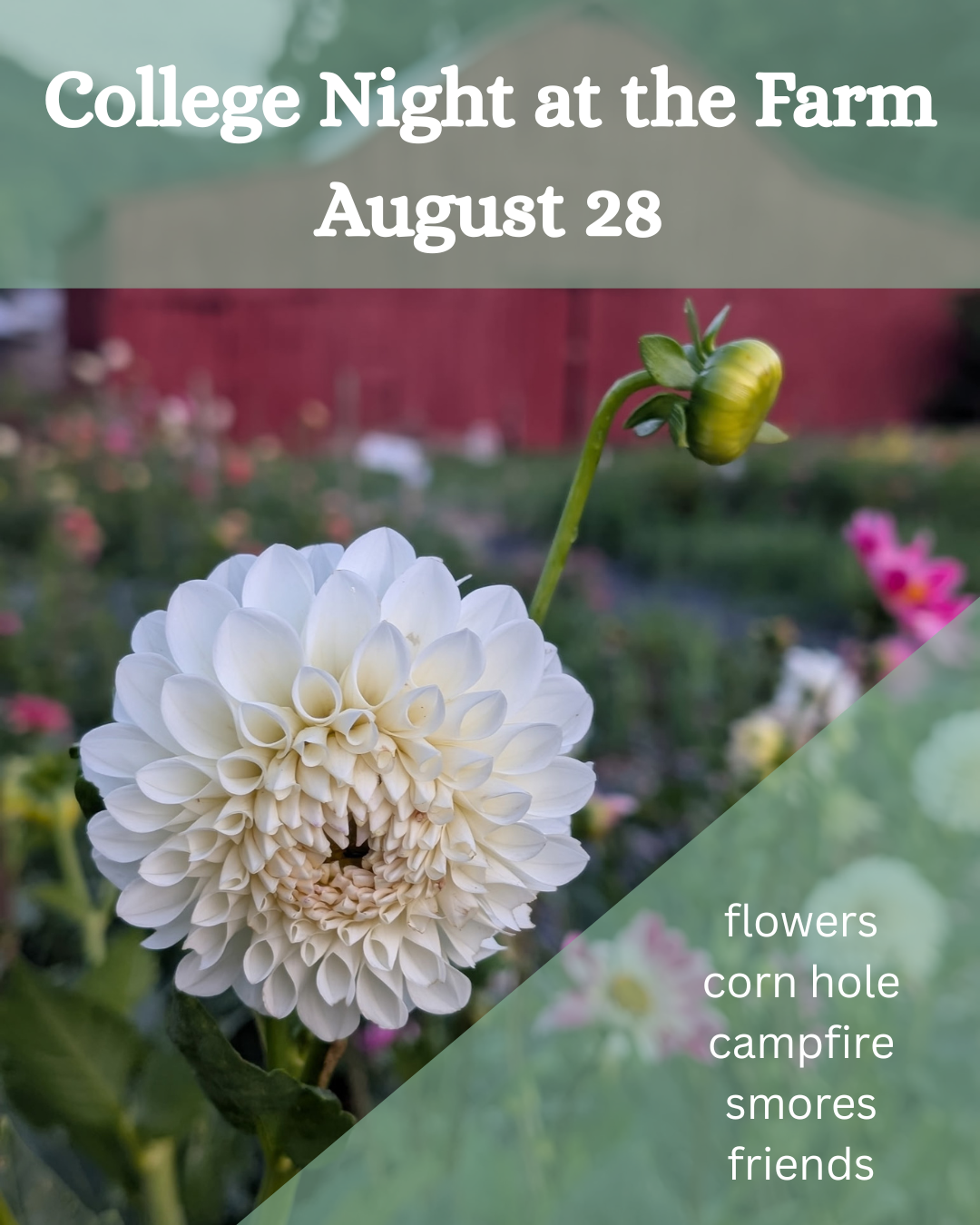 College Night at the Farm Welcome to the Farm August 28.png