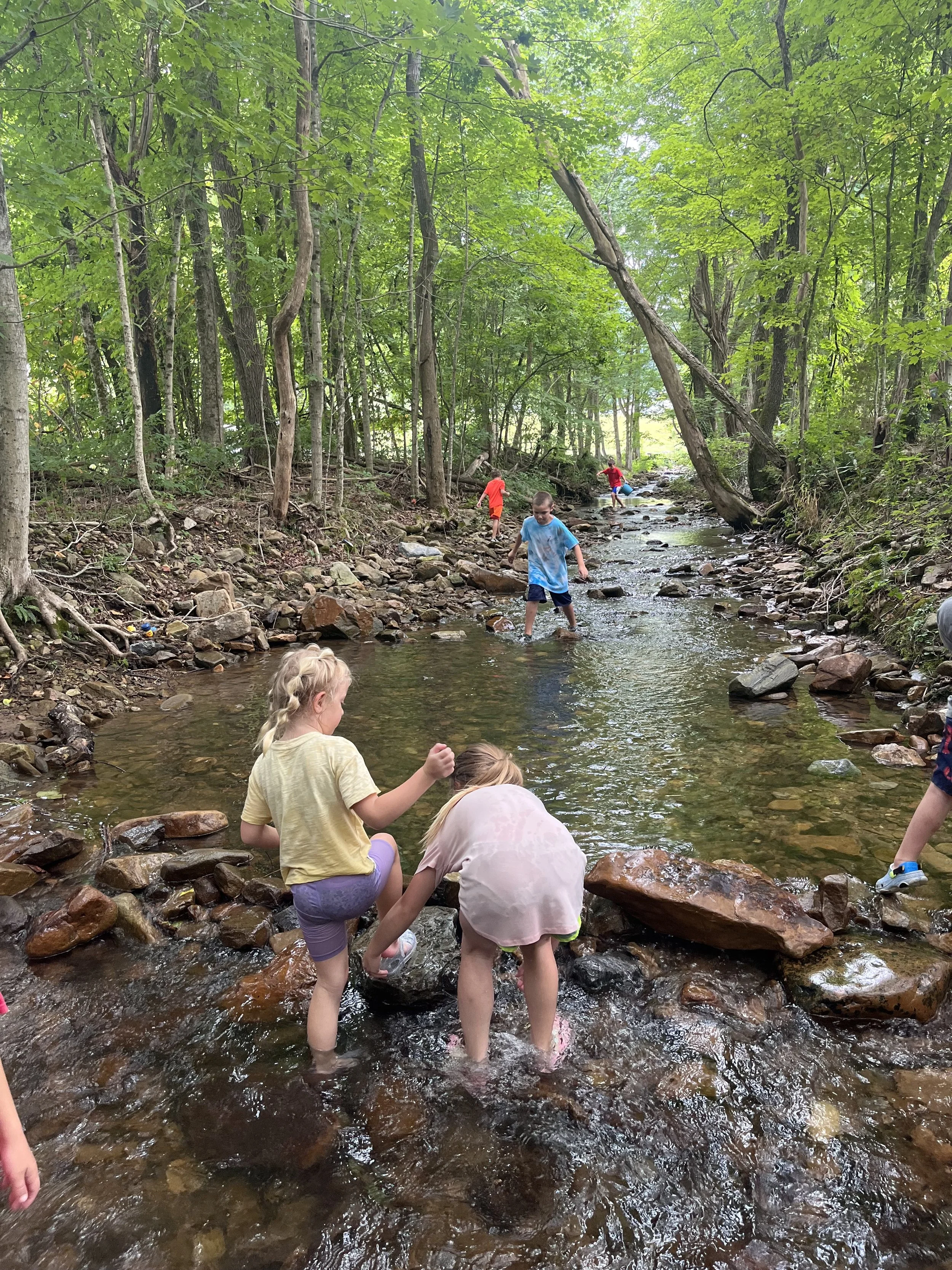 children play in the creek at nature camp