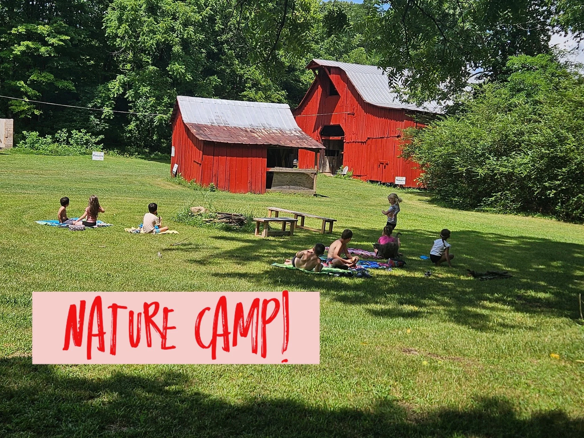children enjoy a picnic lunch in front of the barn at the flower farm nature camp