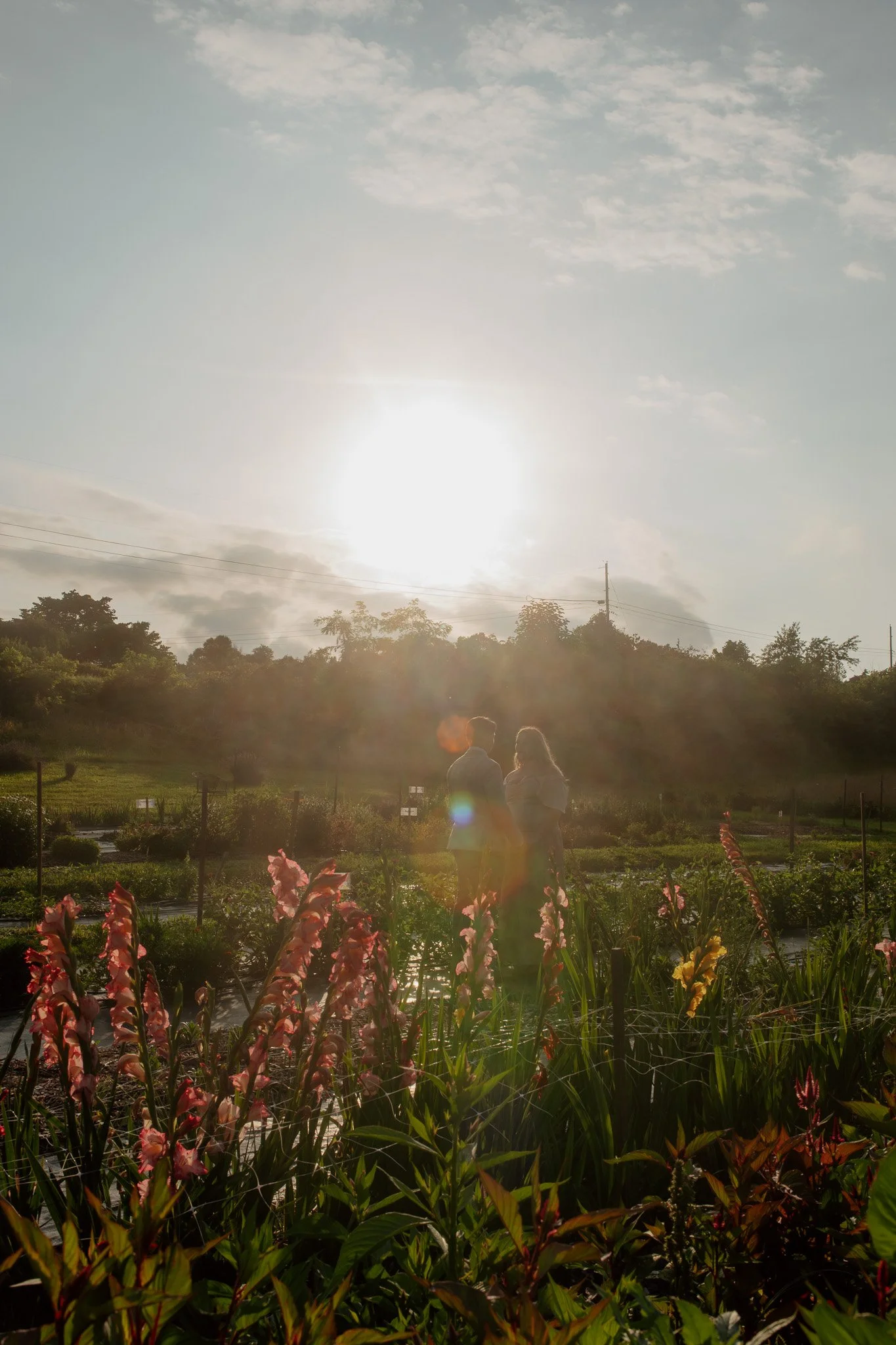 A couple says their vows in a flower field as the sun sets behind them