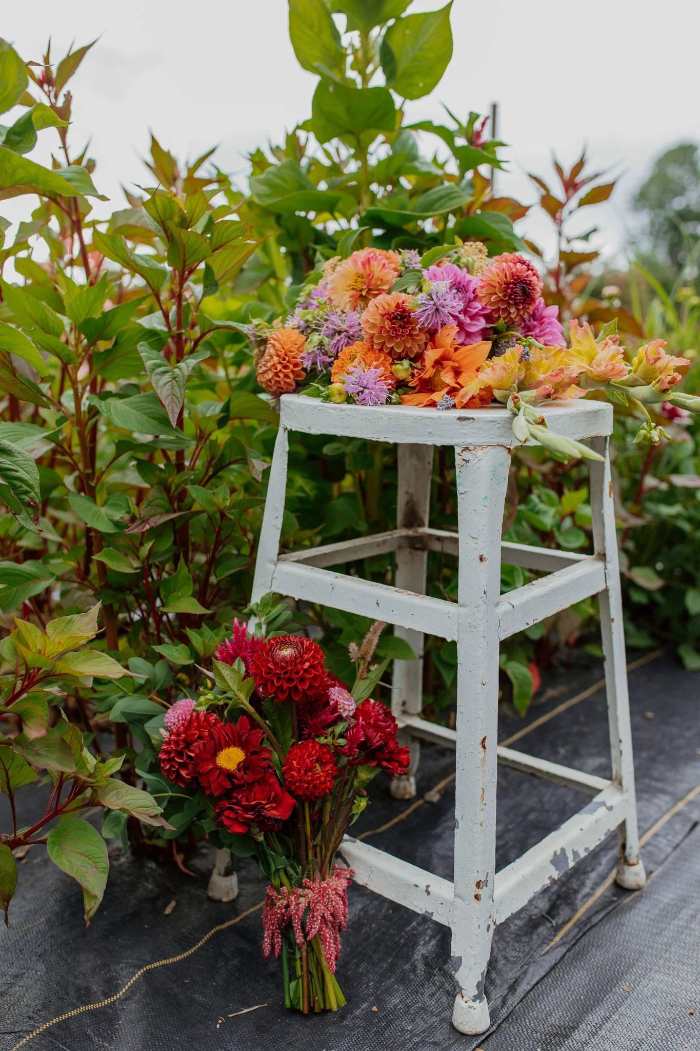 A simple white stool holds 2 bridal bouquets in a row of local flowers on the farm