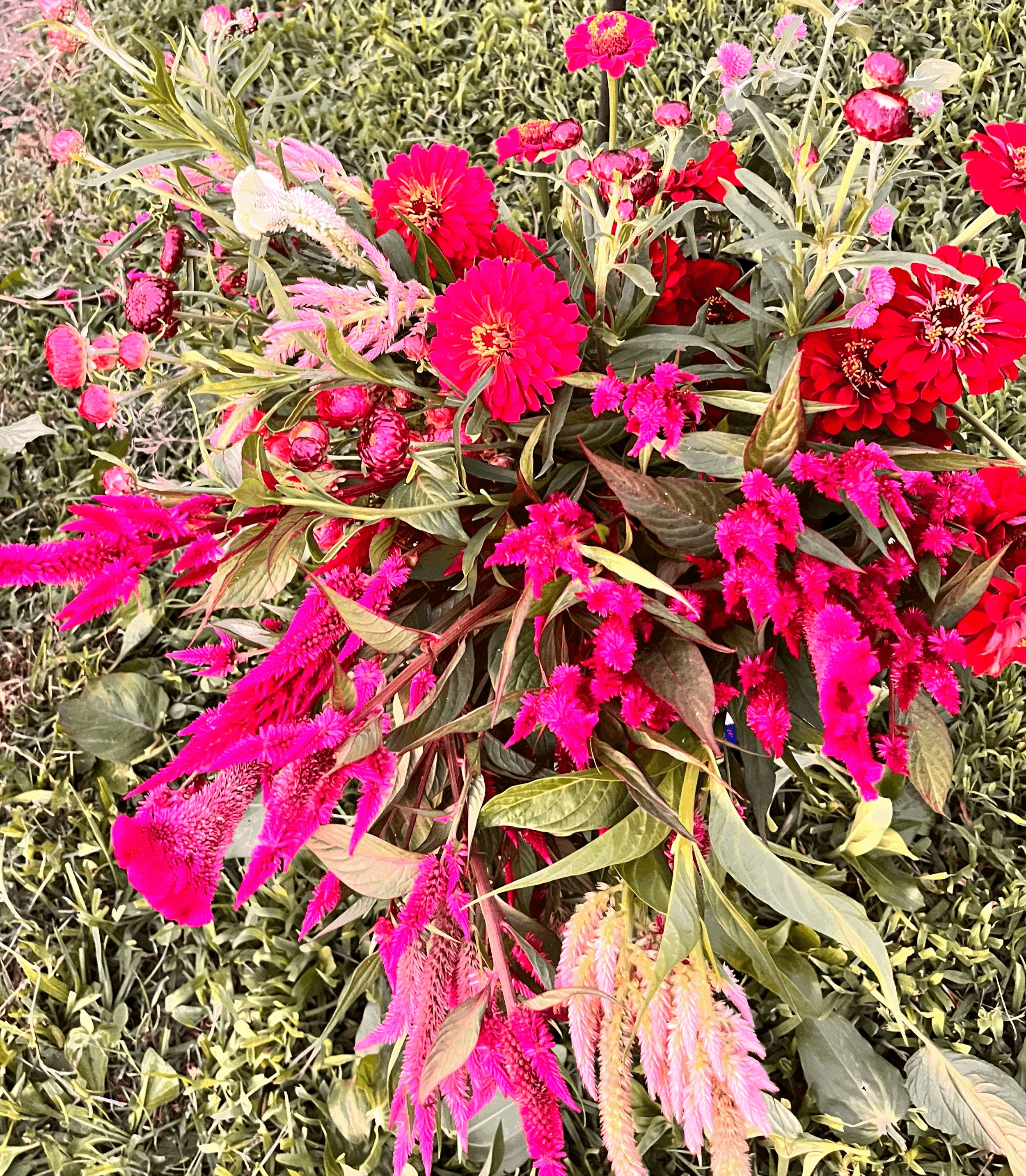 Event You-Pick Bucket (3.5 gal)